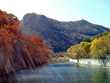 王中王規(guī)律平特一肖中特，揭秘彩票背后的秘密，揭秘彩票背后的秘密，王中王規(guī)律平特一肖中特解析