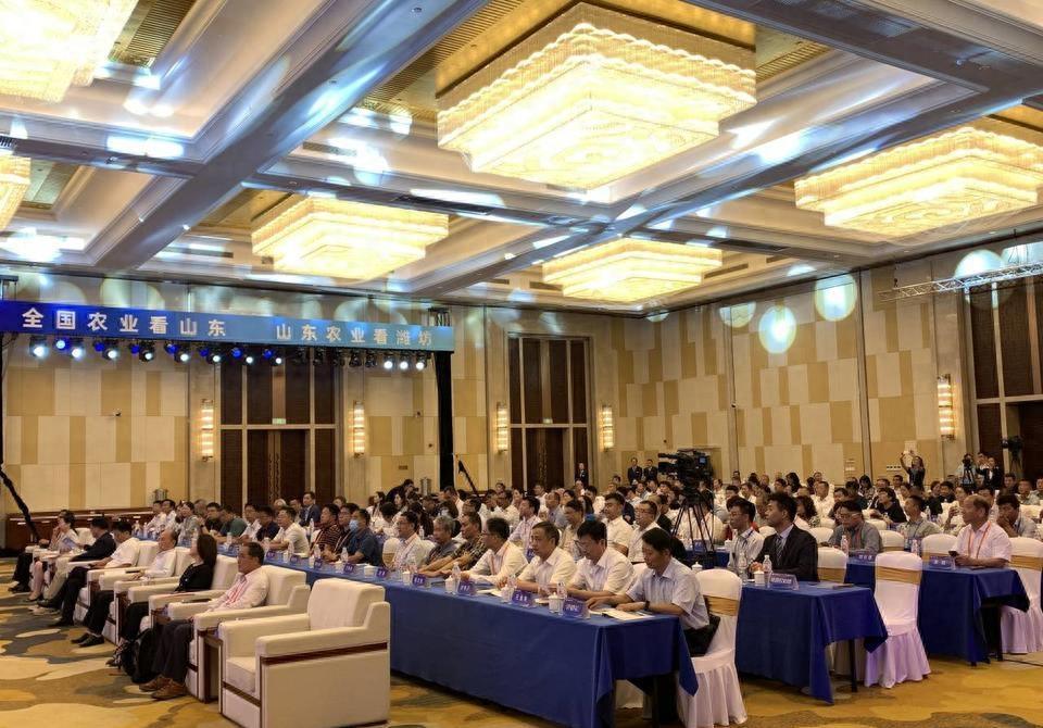 海峽兩岸新聞發(fā)展趨勢展望，2023年的機遇與挑戰(zhàn)，海峽兩岸新聞發(fā)展趨勢展望，2023年的機遇與挑戰(zhàn)分析