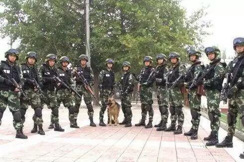 關(guān)于中國人民武裝警察部隊特種警察學(xué)院是否屬于提前批的解析，中國人民武裝警察部隊特種警察學(xué)院是否屬于提前批詳解
