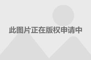 中國(guó)軍艦的種類與數(shù)量，全面解析中國(guó)海軍力量，全面解析中國(guó)海軍力量，軍艦種類與數(shù)量一覽