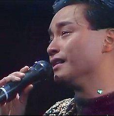 殲八II模型，探索中國航空的杰出代表，殲八II模型，中國航空的杰出代表探索之旅